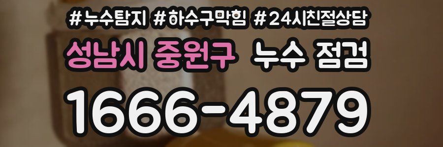 성남시 중원구 누수 점검