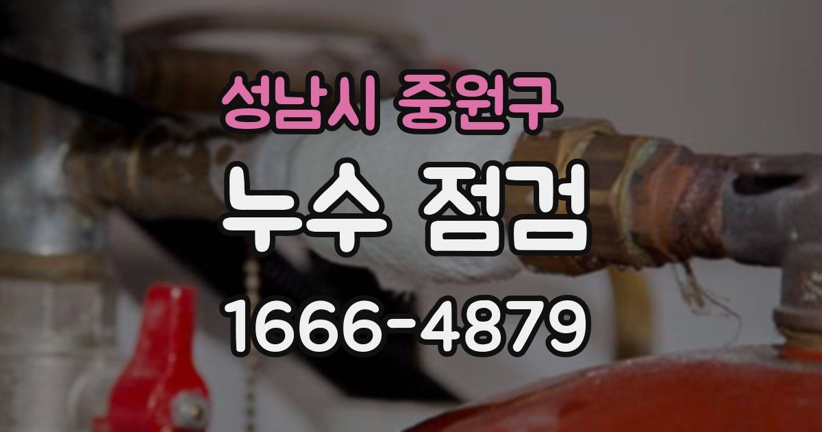 성남시 중원구 누수 점검