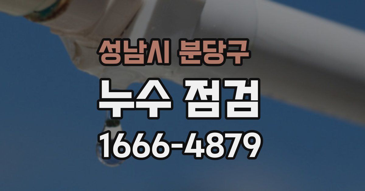 성남시 분당구 누수 점검