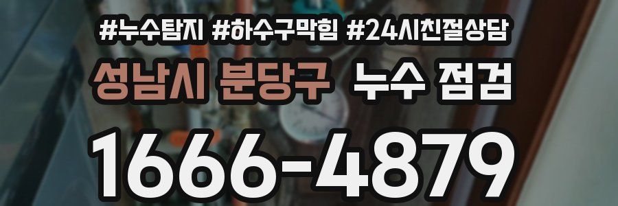 성남시 분당구 누수 점검