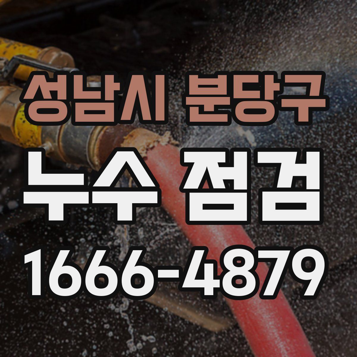 성남시 분당구 누수 점검