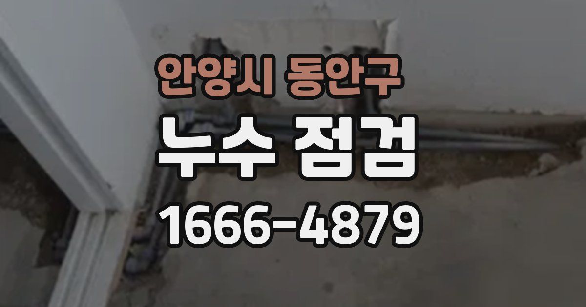 안양시 동안구 누수 점검