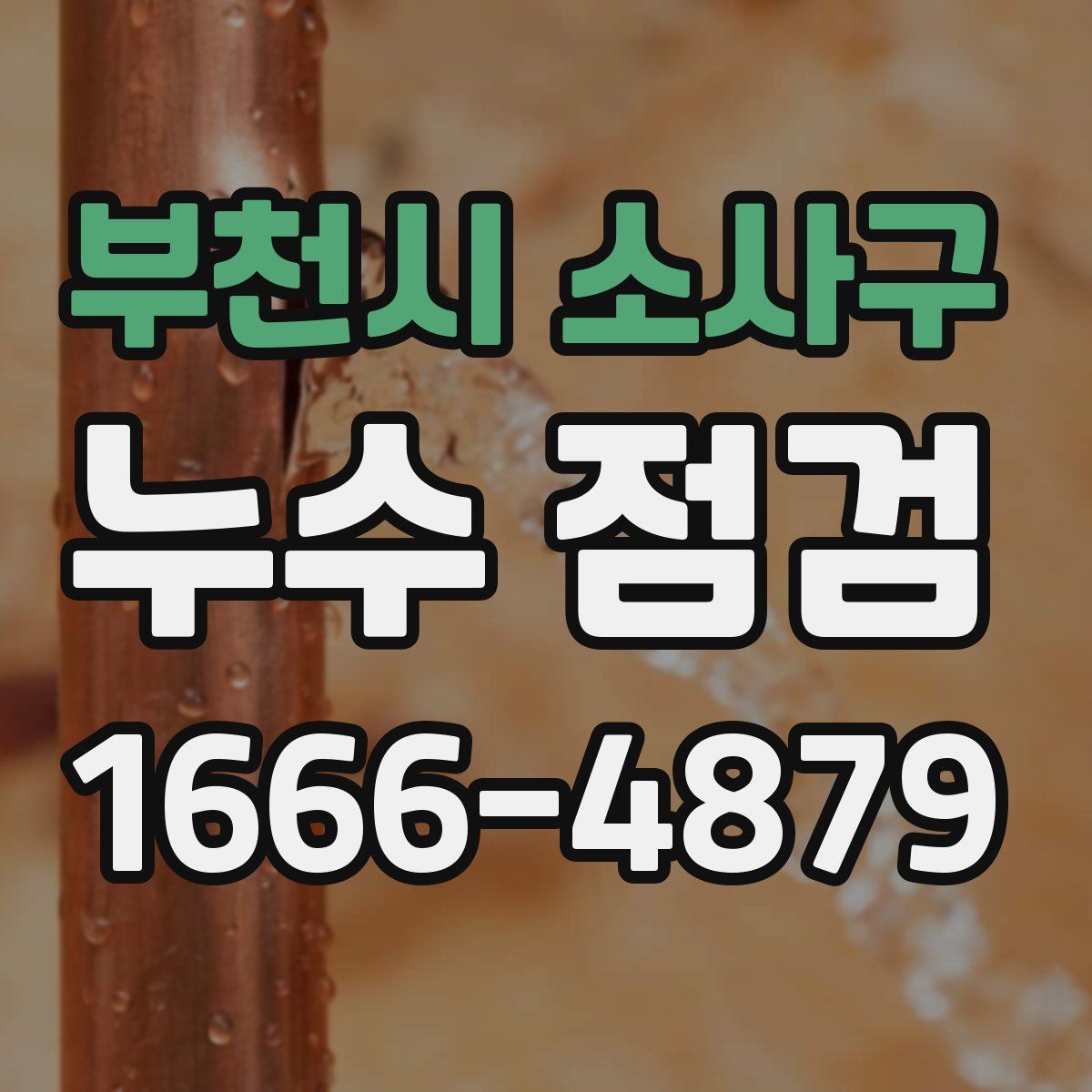 부천시 소사구 누수 점검