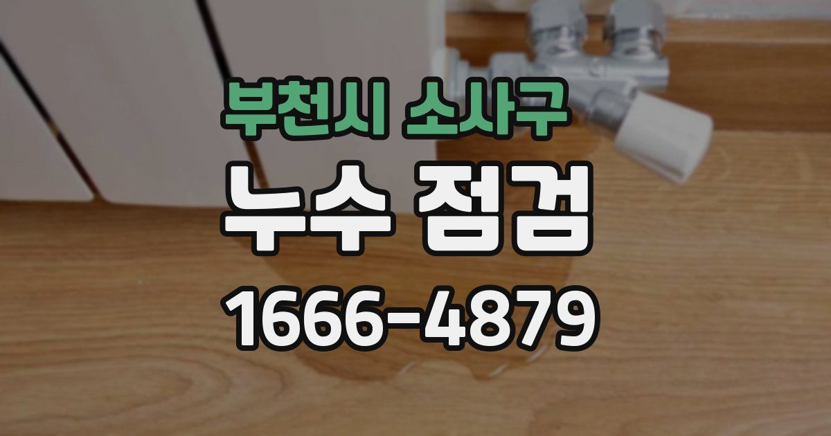 부천시 소사구 누수 점검