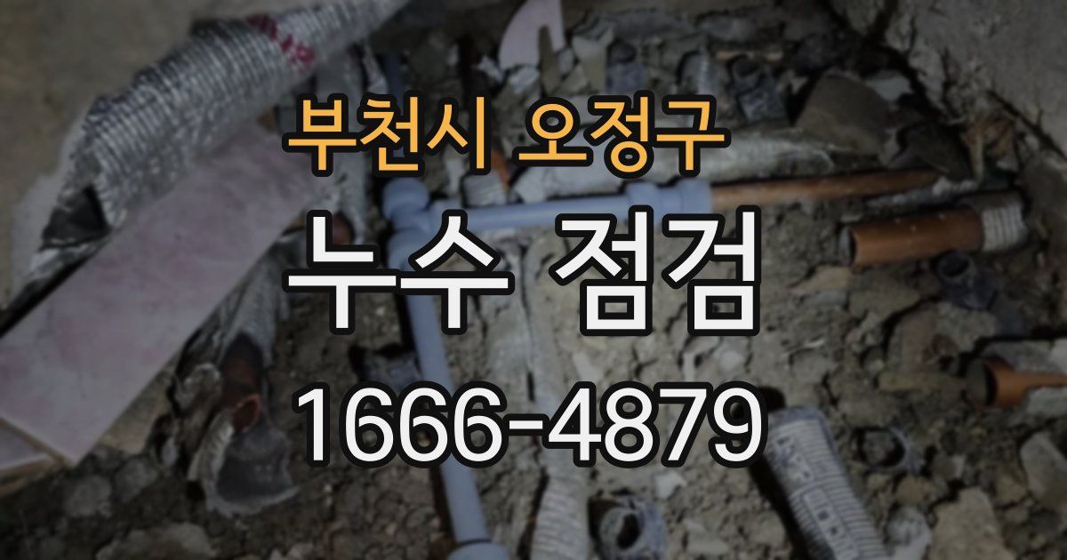 부천시 오정구 누수 점검