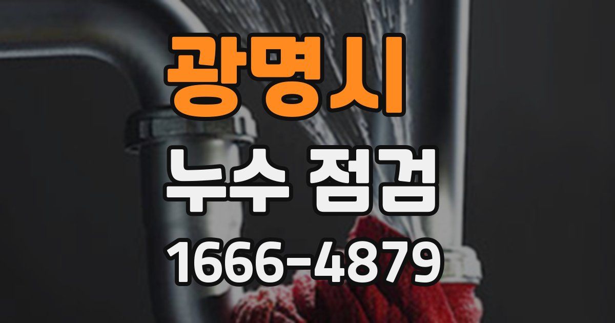 광명시 누수 점검