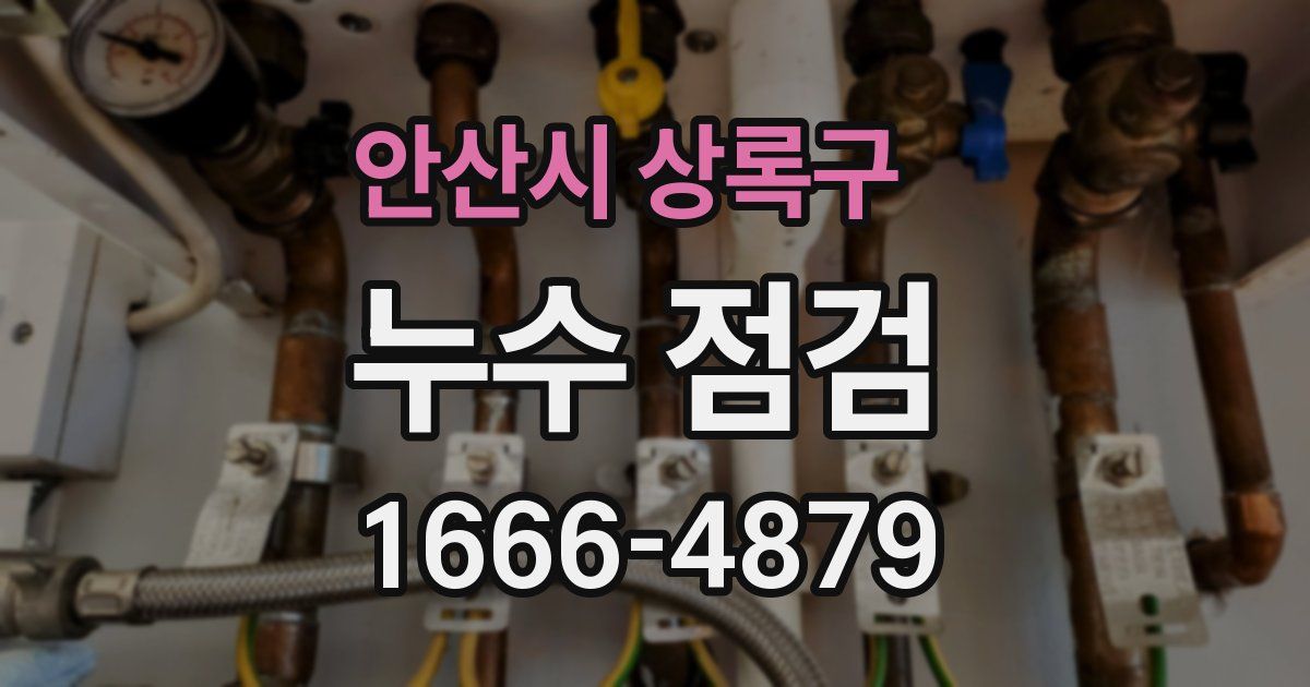 안산시 상록구 누수 점검