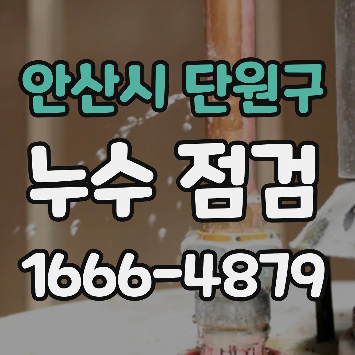 안산시 단원구 누수 점검
