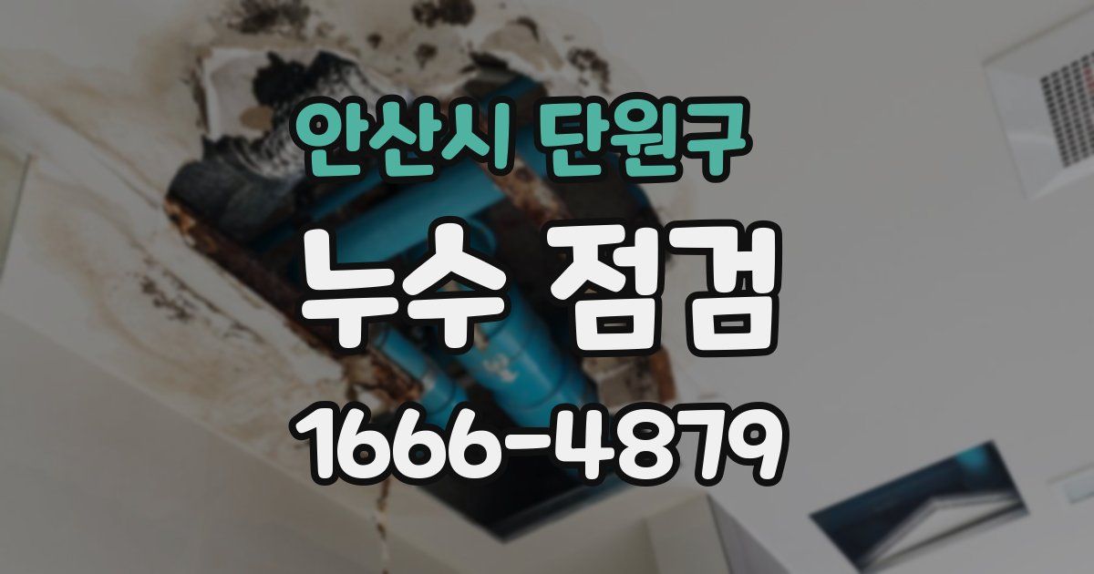 안산시 단원구 누수 점검