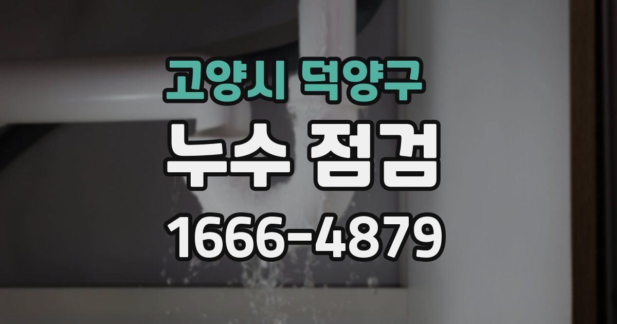 고양시 덕양구 누수 점검