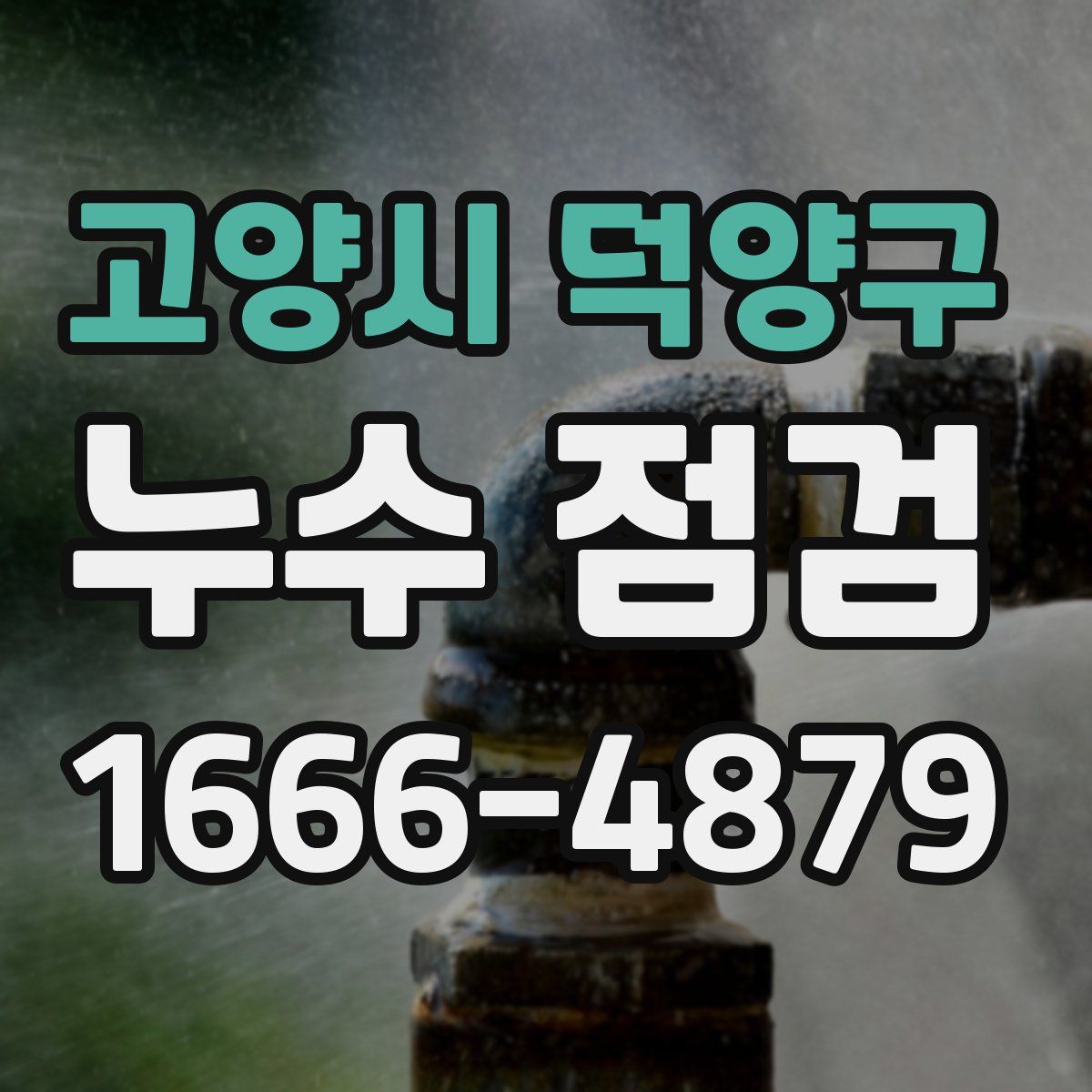 고양시 덕양구 누수 점검
