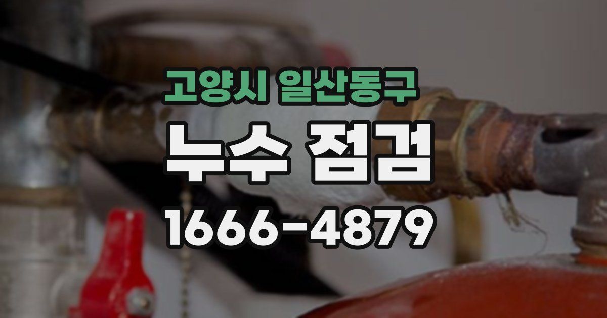 고양시 일산동구 누수 점검