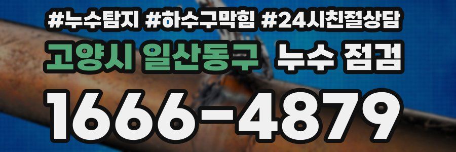 고양시 일산동구 누수 점검