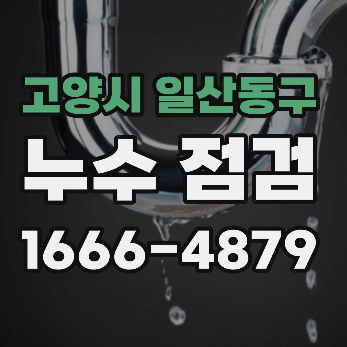 고양시 일산동구 누수 점검