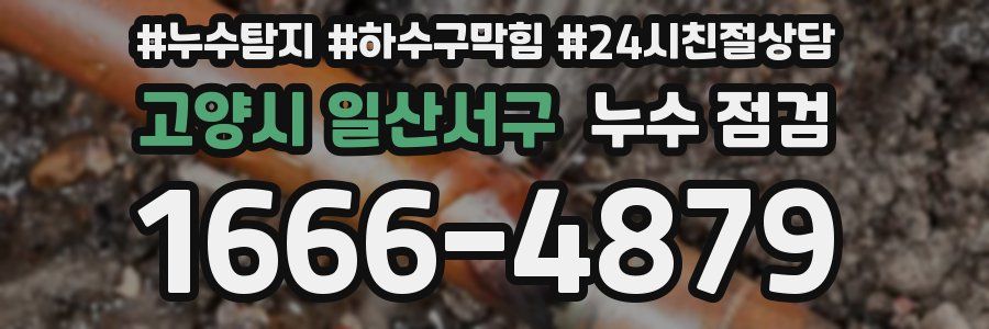 고양시 일산서구 누수 점검