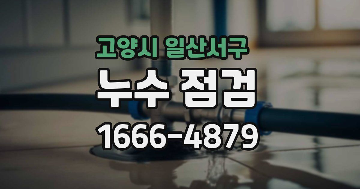 고양시 일산서구 누수 점검