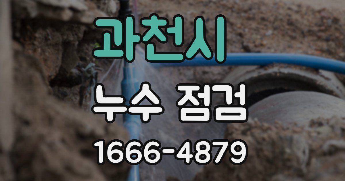 과천시 누수 점검