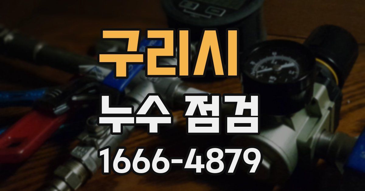구리시 누수 점검