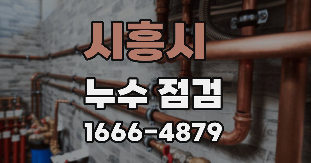 시흥시 누수 점검