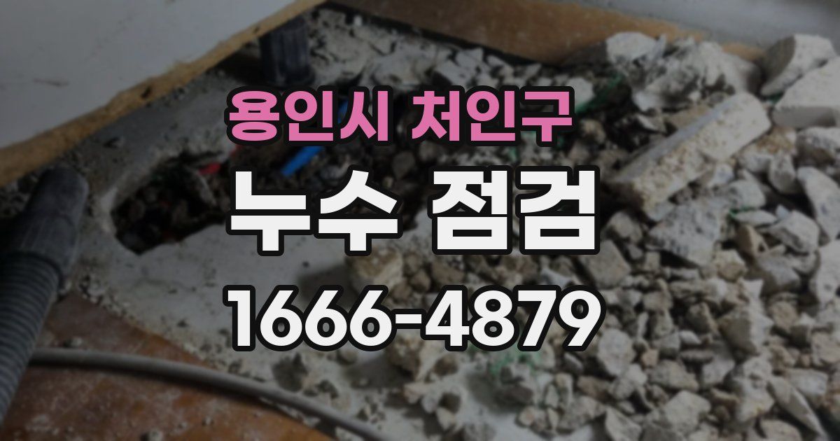 용인시 처인구 누수 점검