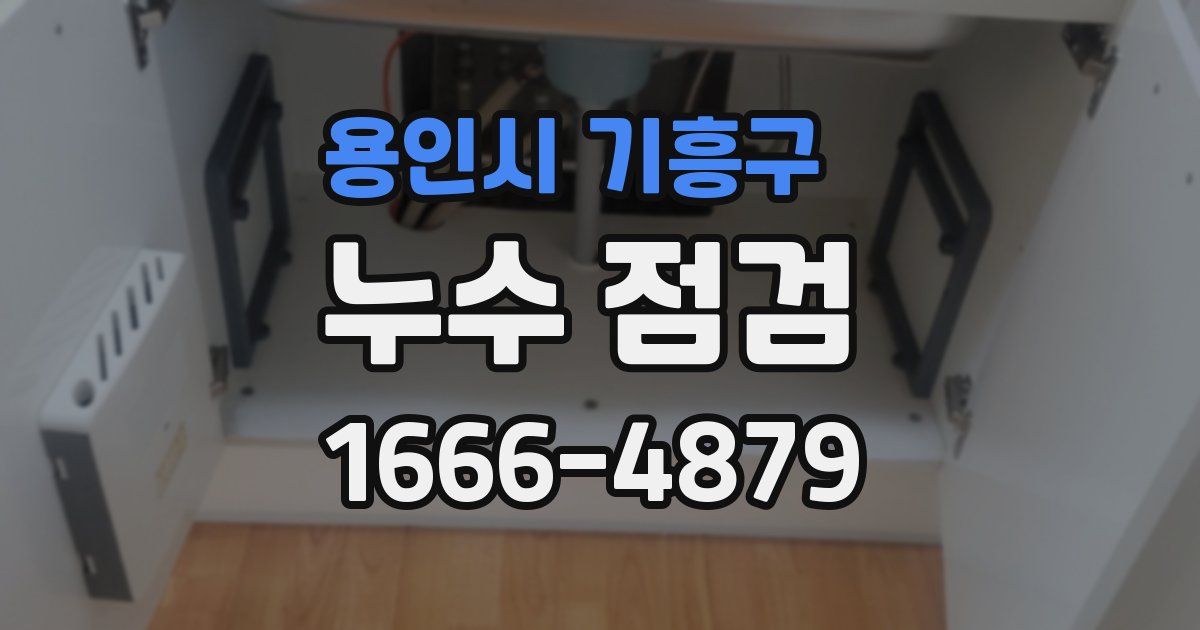 용인시 기흥구 누수 점검