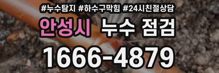 안성시 누수 점검