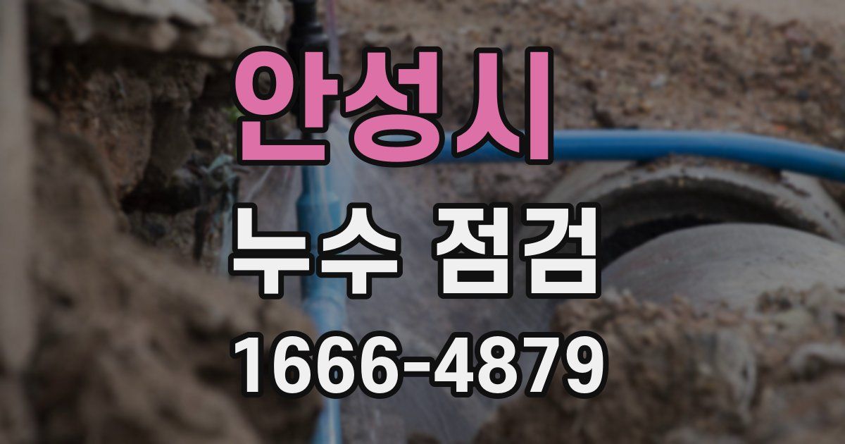 안성시 누수 점검