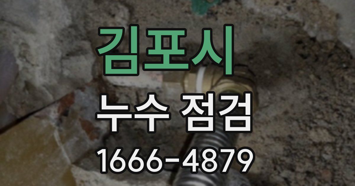 김포시 누수 점검