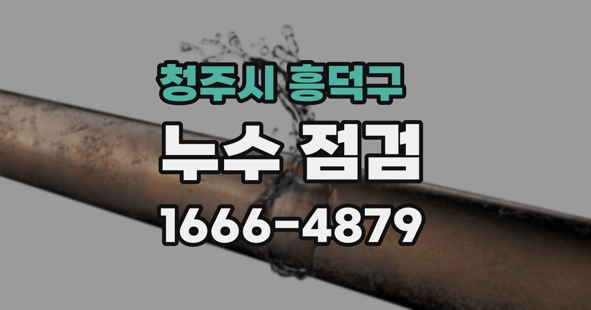 청주시 흥덕구 누수 점검