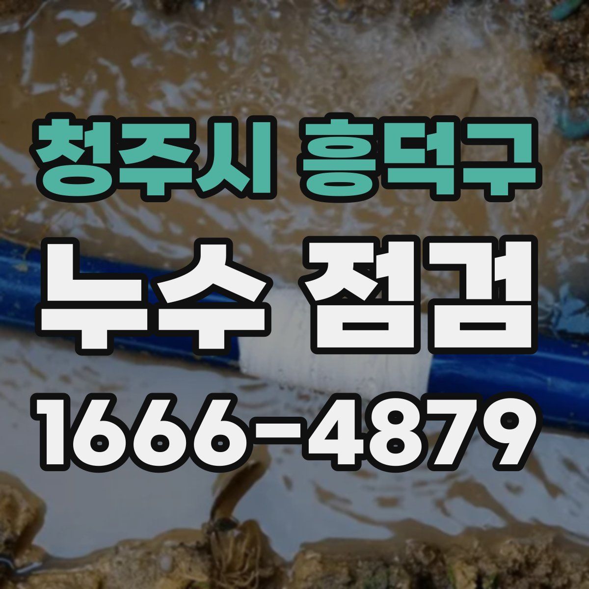 청주시 흥덕구 누수 점검