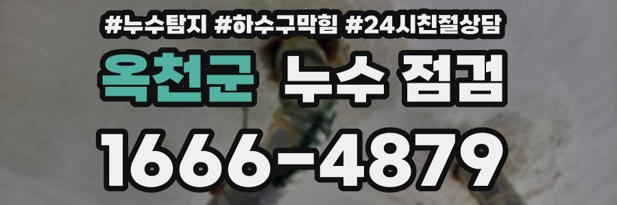 옥천군 누수 점검