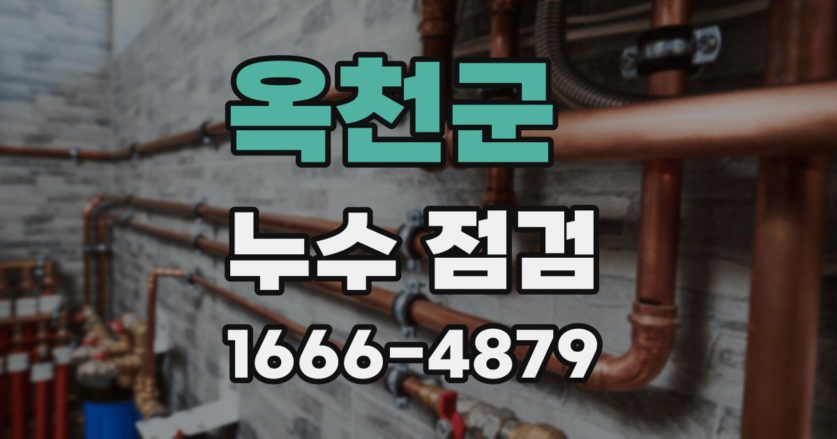 옥천군 누수 점검