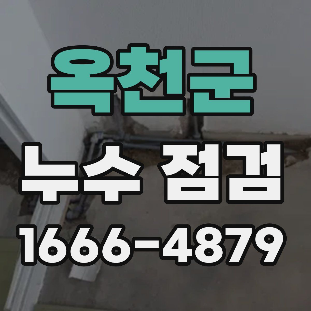 옥천군 누수 점검