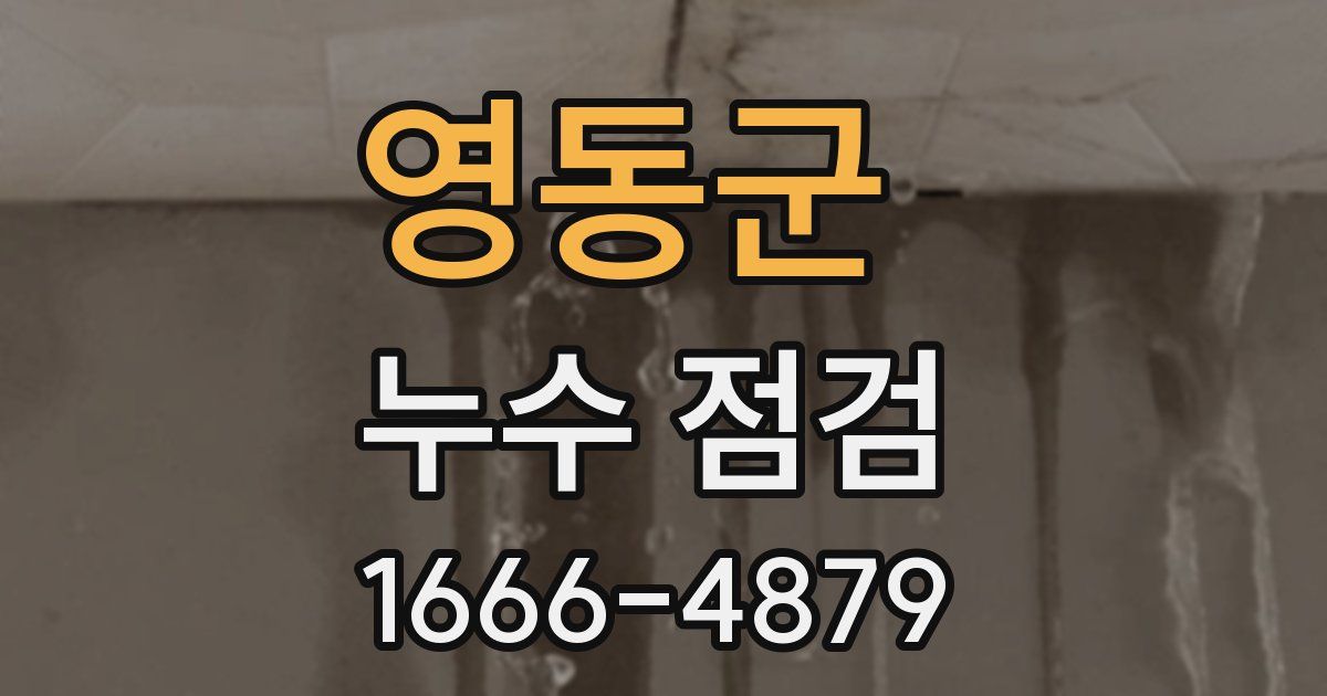 영동군 누수 점검