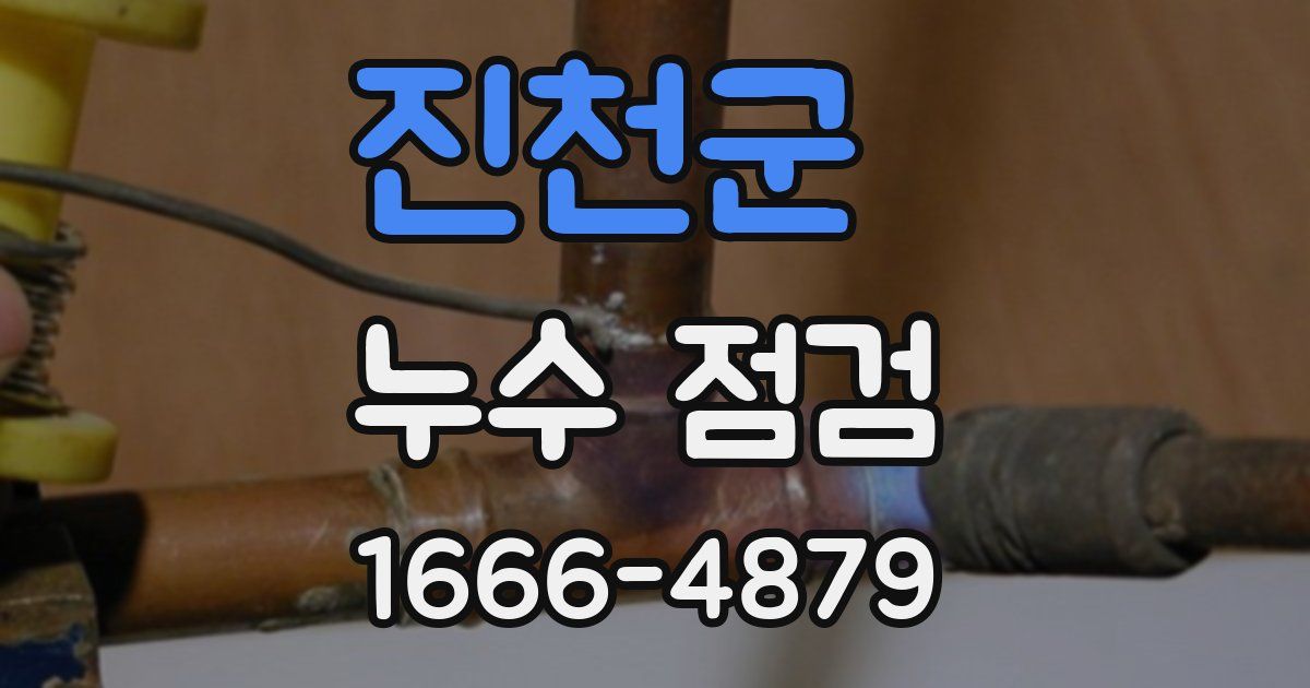진천군 누수 점검