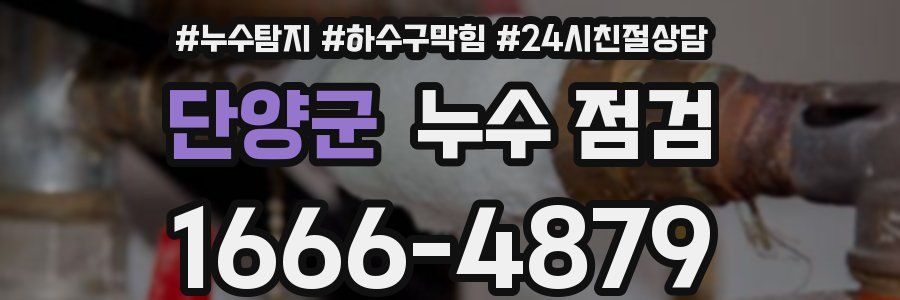 단양군 누수 점검