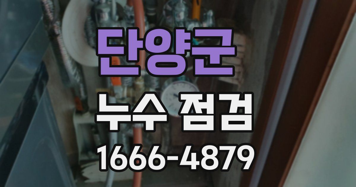 단양군 누수 점검