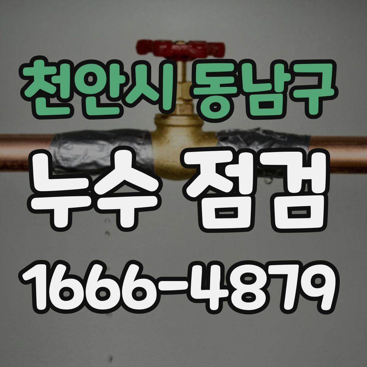 천안시 동남구 누수 점검