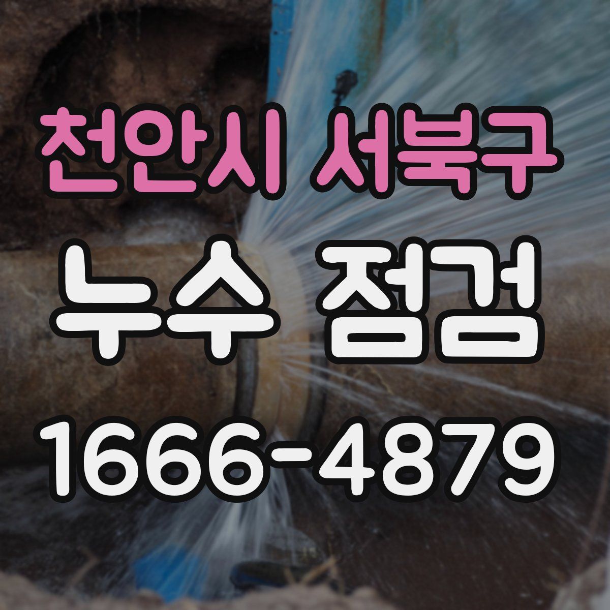 천안시 서북구 누수 점검