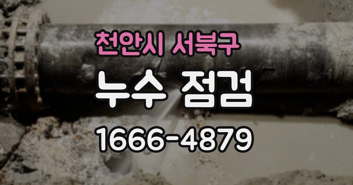 천안시 서북구 누수 점검