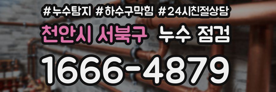 천안시 서북구 누수 점검