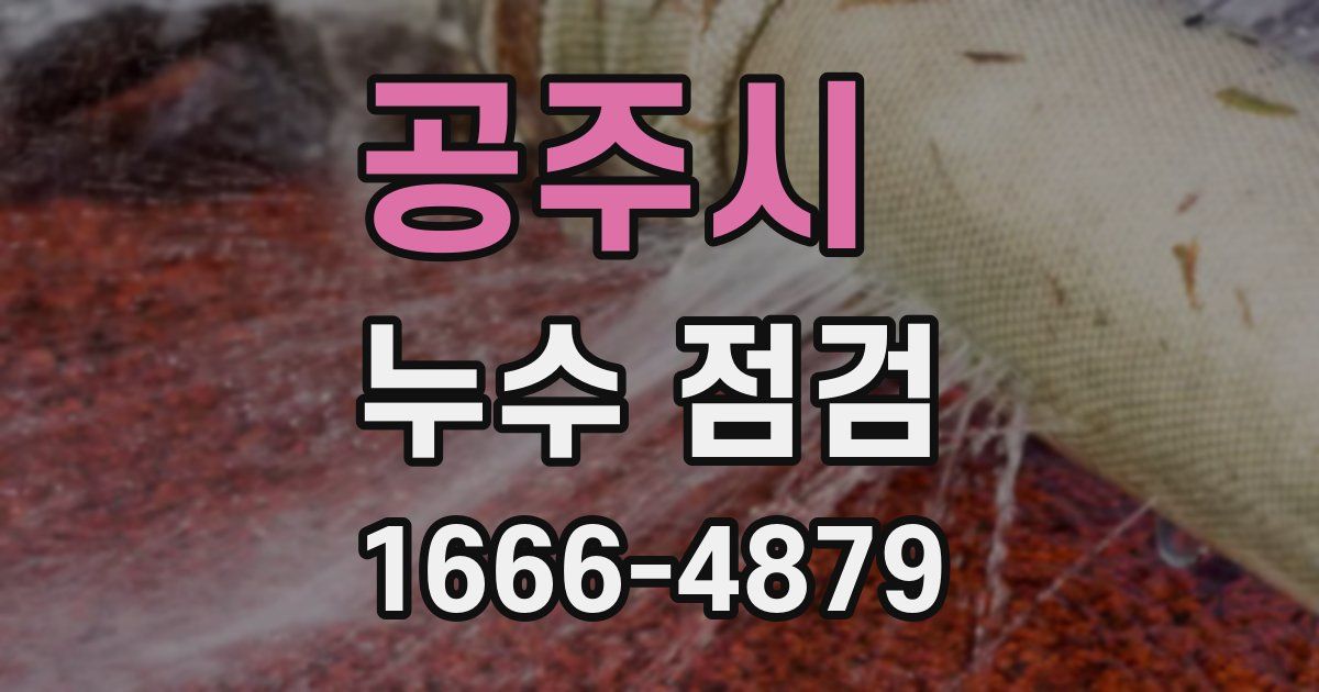 공주시 누수 점검