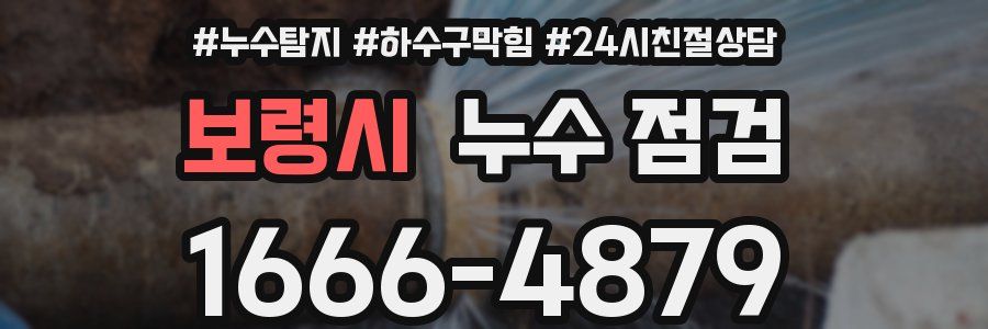 보령시 누수 점검