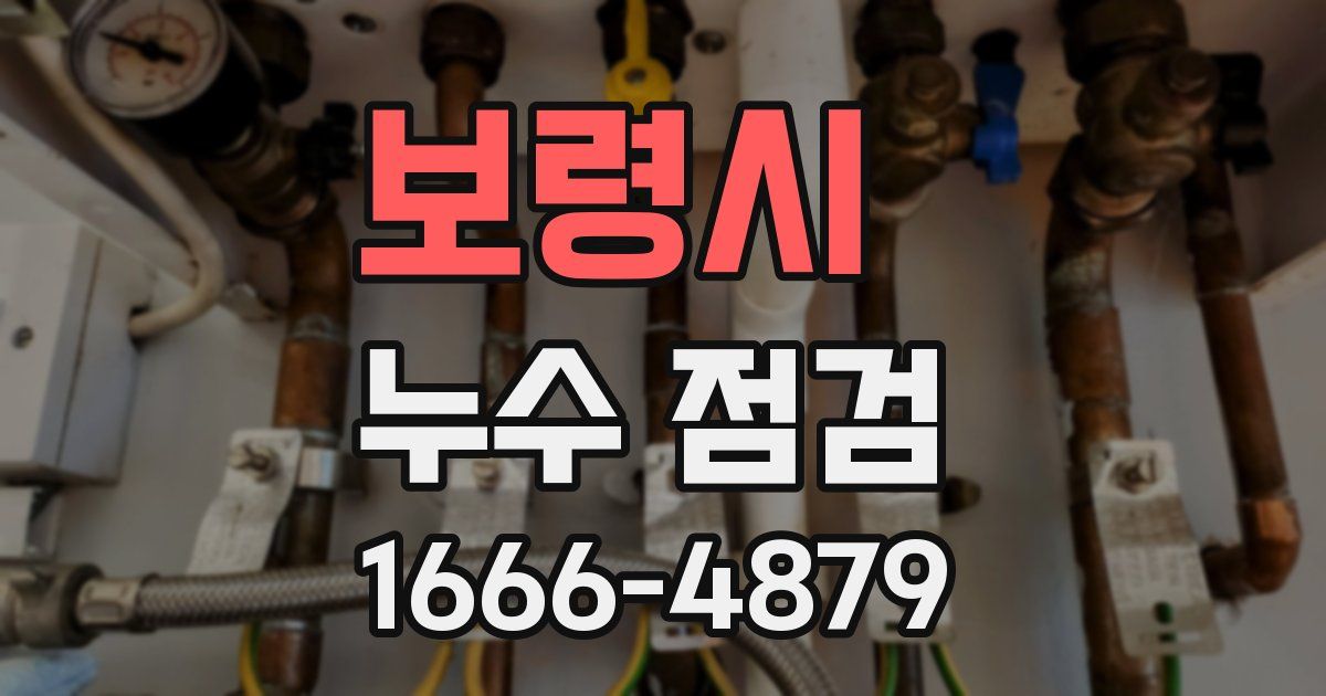 보령시 누수 점검