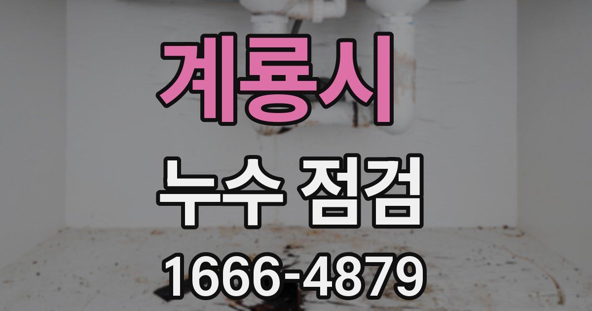 계룡시 누수 점검
