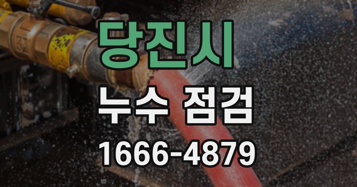 당진시 누수 점검