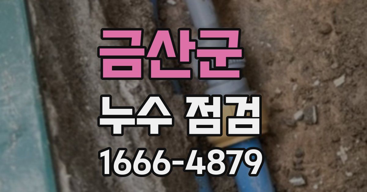 금산군 누수 점검