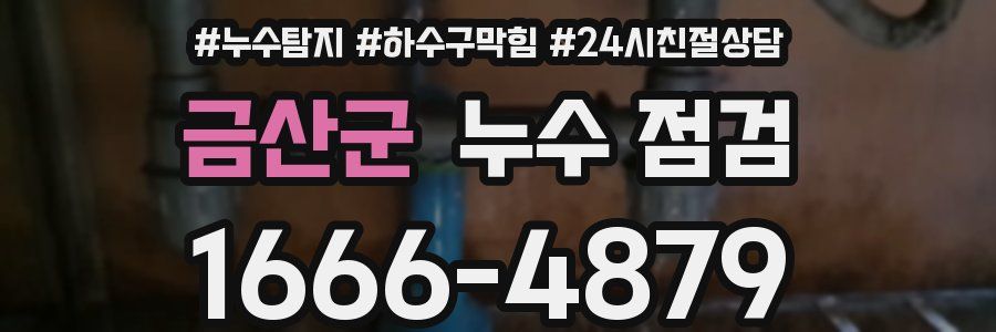 금산군 누수 점검
