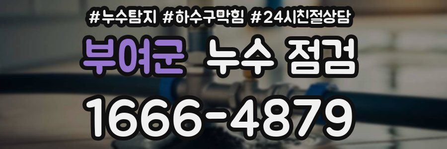 부여군 누수 점검