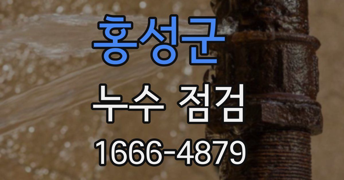 홍성군 누수 점검
